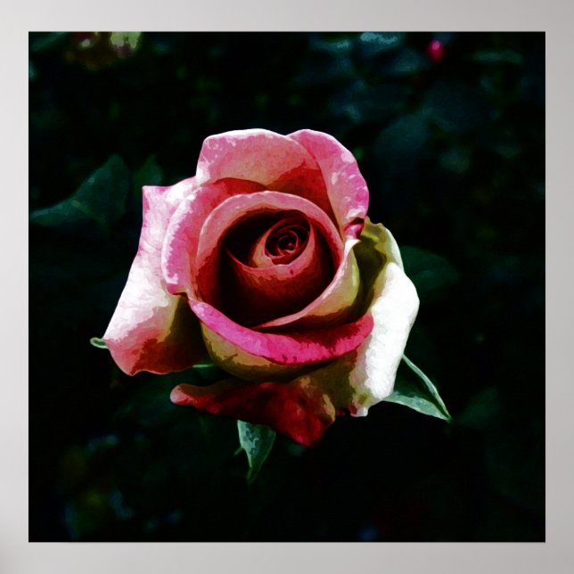 Póster Rosa pintado con aceite (Frente)