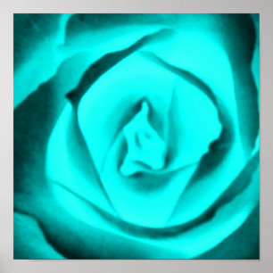 Póster Rosa Poster verde azulado