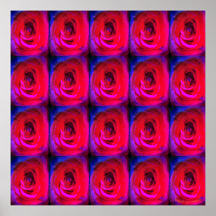 Póster Rosa Red Miami, poster