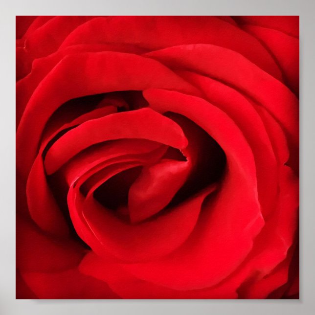 Póster Rosa Roja (Frente)