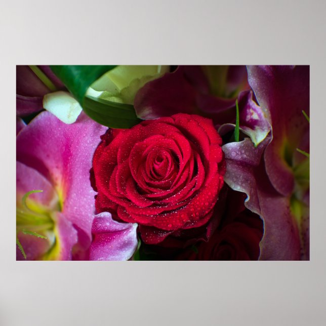 PÓSTER ROSA ROJA (Frente)