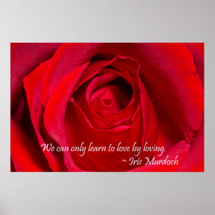 Póster Rosa Roja