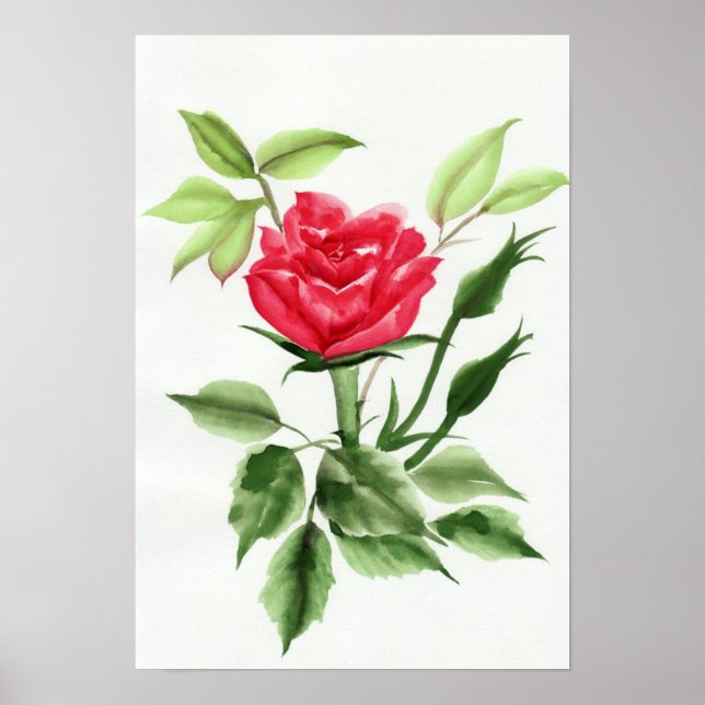 Póster Rosa Roja (Frente)