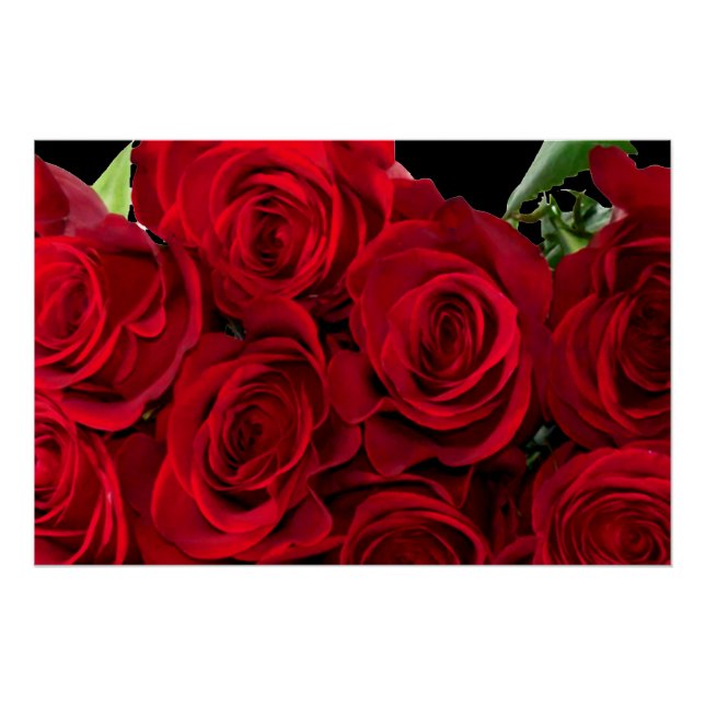 Póster Rosa Roja (Anverso)