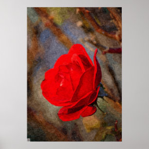 Póster Rosa Roja