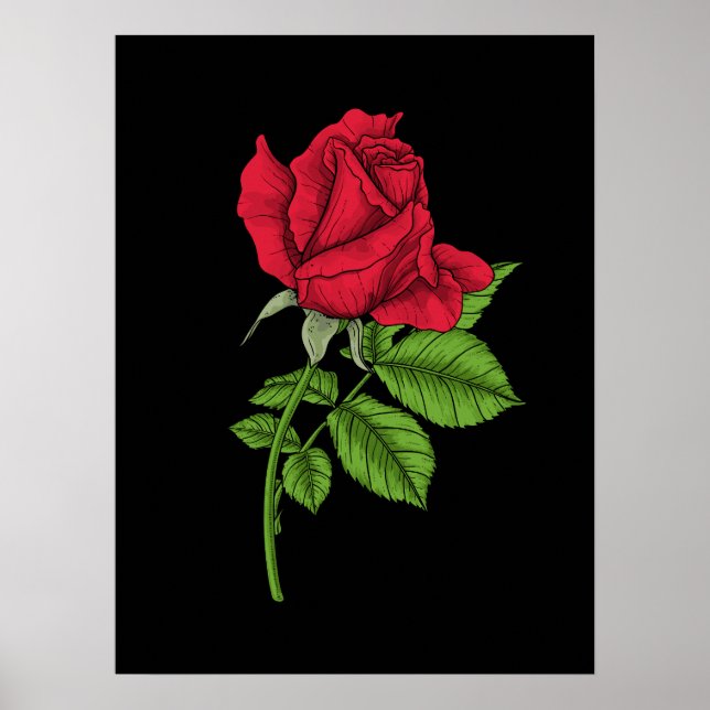 Póster Rosa roja (Frente)