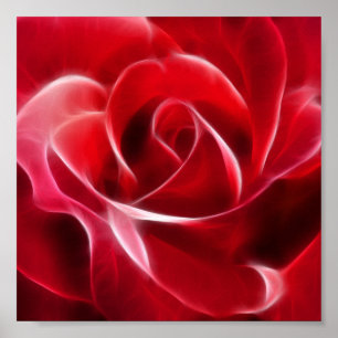 Póster Rosa Roja bonito