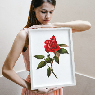 Póster Rosa roja de un solo stem artístico