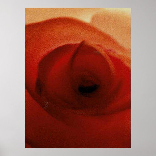 PÓSTER ROSA ROJA PRIMER PLANO     (Frente)