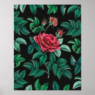 Póster Rosa Roja Vintage