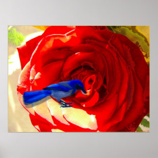 Póster Rosa Roja y Pájaro Azul Azul