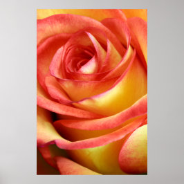 Póster rosa rojo y amarillo