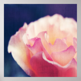 Póster Rosa Romántica en Lienzo Macro Abstracto