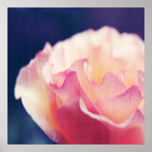 Póster Rosa Romántica en Lienzo Macro Abstracto