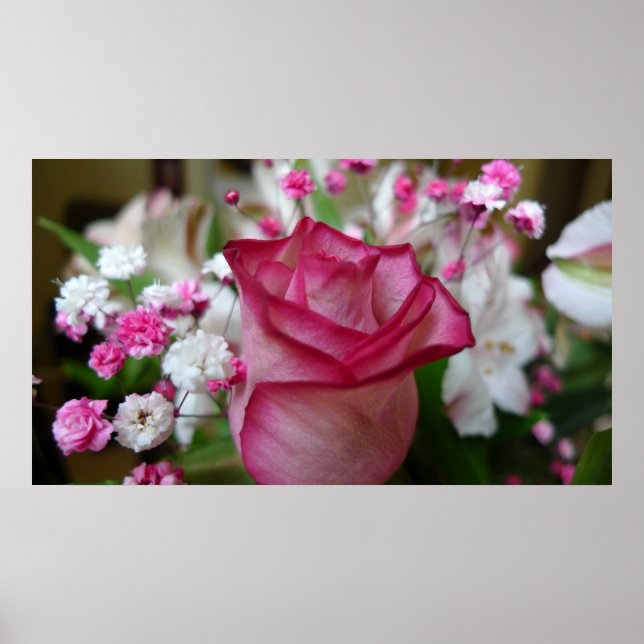 Póster Rosa rosa (Frente)