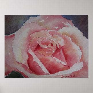 Póster Rosa rosa poster