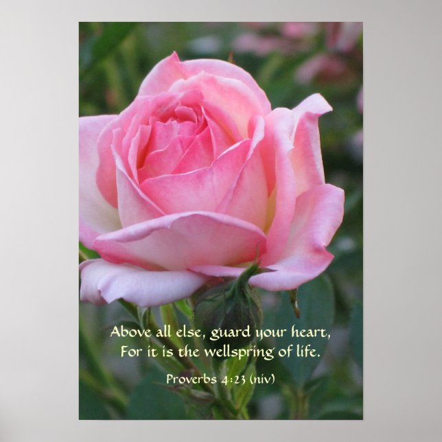 Póster Rosa Rosa Rosa Bud ~ Proverbios 4:23 (Frente)