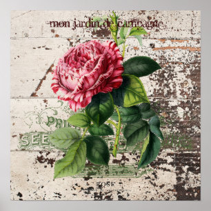 Póster Rosa rosa sobre un panel de madera rústica