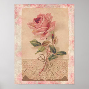 Póster Rosa rosa victoriano francés