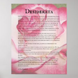 Póster Rosa rosa y blanca y poema Desiderata