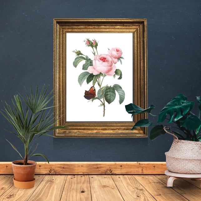 Póster Rosa rosa y mariposa (Subido por el creador)