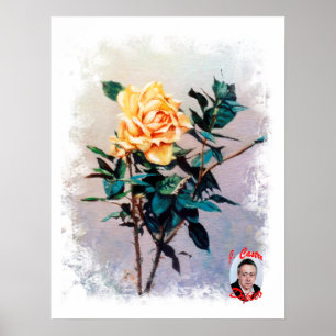 Póster Rosa/Rose