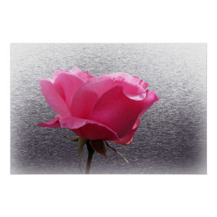 Póster rosa sobre gris