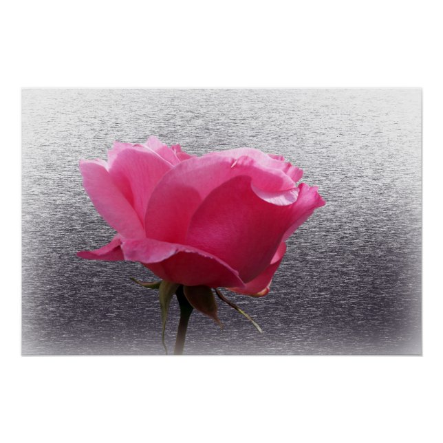 Póster rosa sobre gris (Anverso)