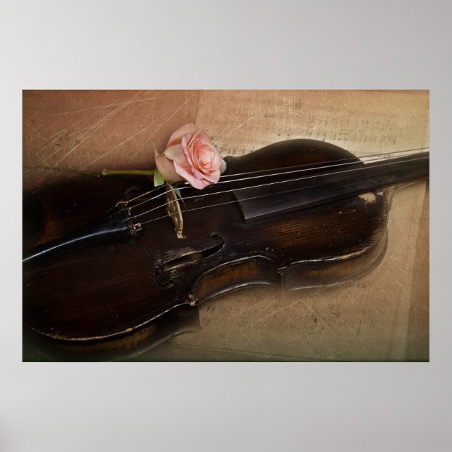 Póster Rosa sobre violín (Frente)