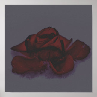 Póster Rosa sombría