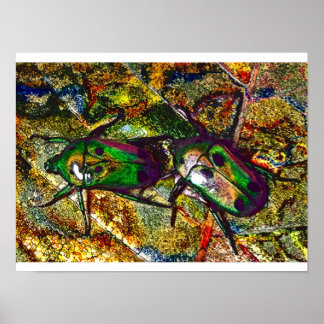 Póster Rosa tropical Chafer Beetle Digital Art