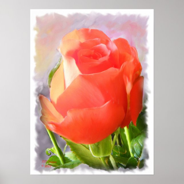 Póster Rosa Tropicana - Pintura (Frente)