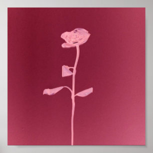 PÓSTER ROSA ÚNICO