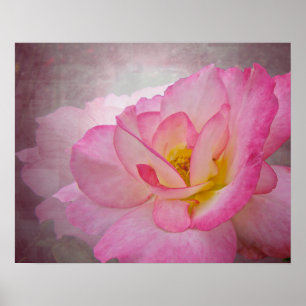Póster Rosa Victoriano Rosa
