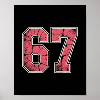 Póster Rosa y Blanco 67 