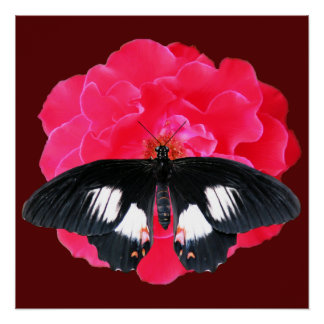 Póster Rosa y cola de inflexión