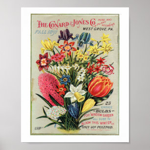 Póster Rosa y cultivadores de Conrad & Jones 1897