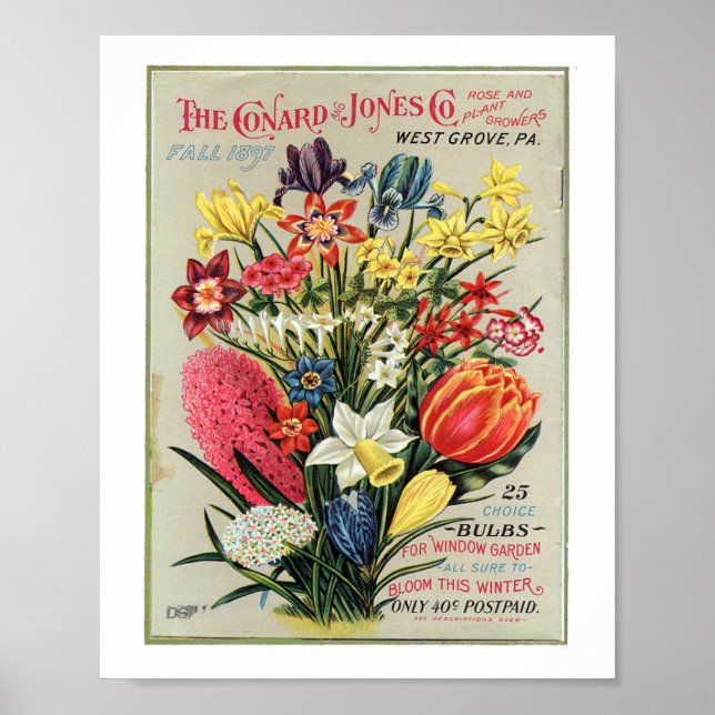 Póster Rosa y cultivadores de Conrad & Jones 1897 (Frente)