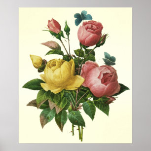 Póster Rosa y mariposa Bouquet, Pierre Redoute Poster