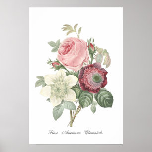 Póster Rosa y Poster de Anemone