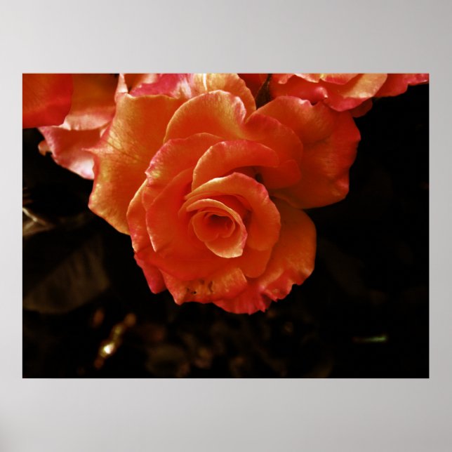 Póster rosado (Frente)
