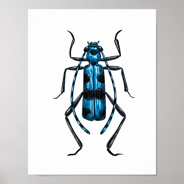 Póster Rosalia Alpina beetle (Frente)