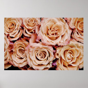 Póster Rosas