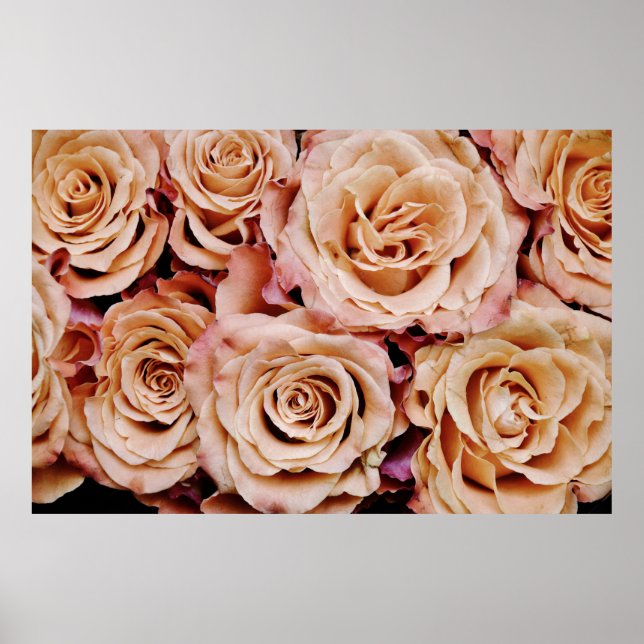 Póster Rosas (Frente)