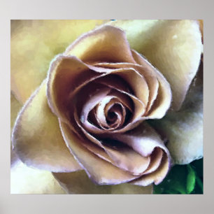 PÓSTER ROSAS