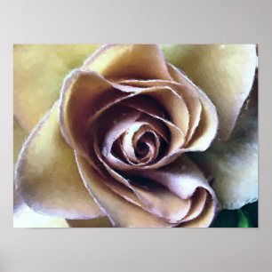 PÓSTER ROSAS