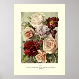 Póster Rosas