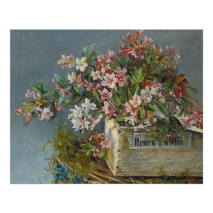Póster Rosas alpinos en una ventana - Andreas Lach