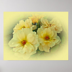 Póster Rosas Amarillas