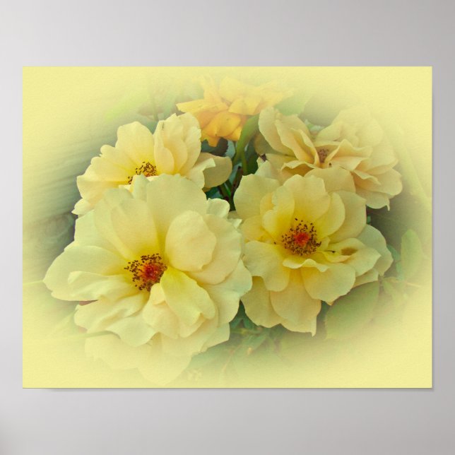 Póster Rosas Amarillas (Frente)